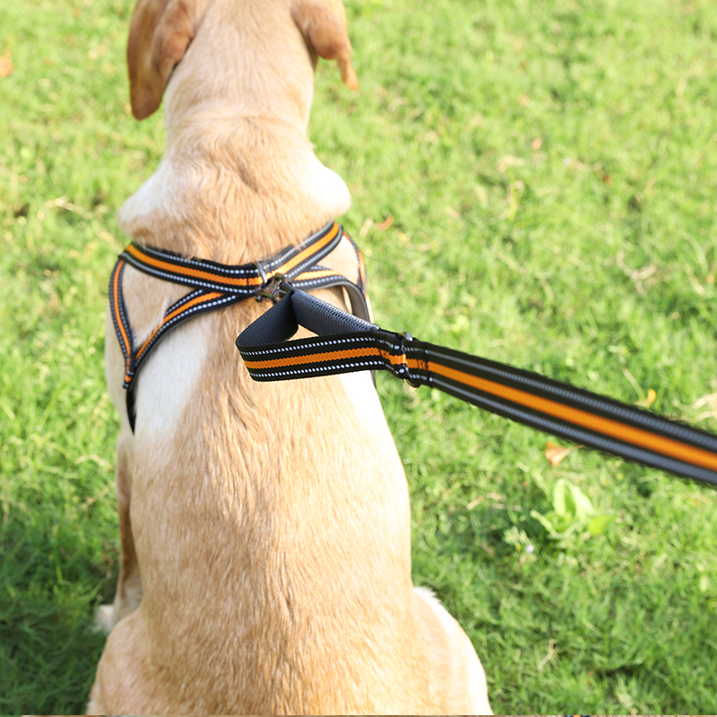 Outdoors Walking Comfortable Handlelight Weight Nylon Clour Dog Leash